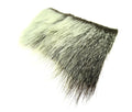 FF Nutria
