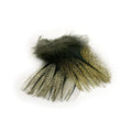 Marc Petitjean Coq de Leon / Pardo Feathers