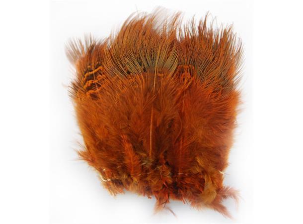 Ringneck Rump Hackle