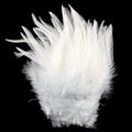 Fly-Dressing Strung Saddle Hackle