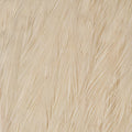 Ewing Hen Cape
