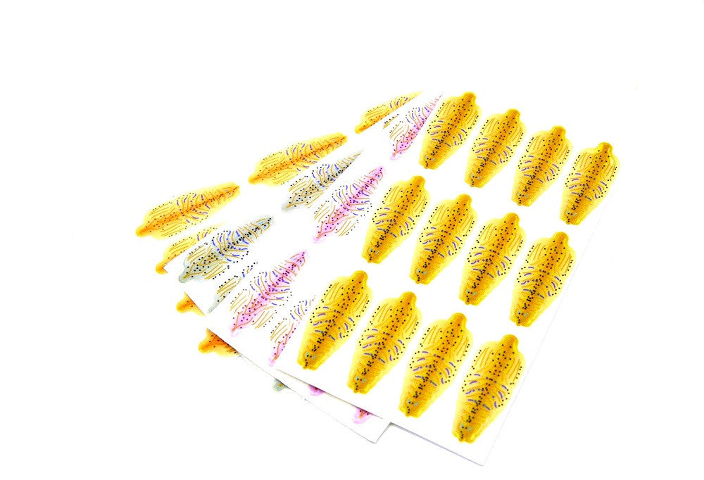 FF Shrimp Shells