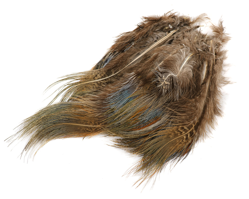 Strung Ringneck Pheasant Rump
